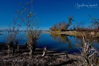 1049237_Bodensee_Herbst_JMW