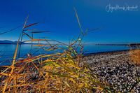 1049253_Bodensee_Herbst_JMW