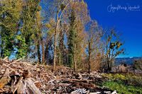 1049266_Bodensee_Herbst_JMW