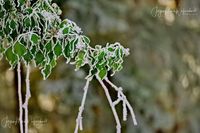 1054504_Winter_2025_JMW