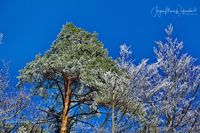 1054506_Winter_2025_JMW