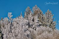 1054508_Winter_2025_JMW