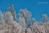 1054510_Winter_2025_JMW