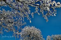 1054521_Winter_2025_JMW