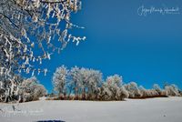 1054526_Winter_2025_JMW