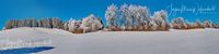 1054544_Winter_2025_JMW