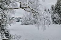 1054566_Winter_2025_JMW